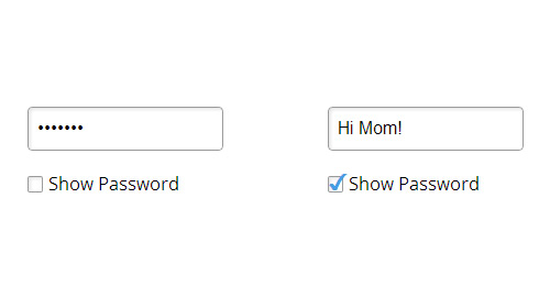 Password Toggle